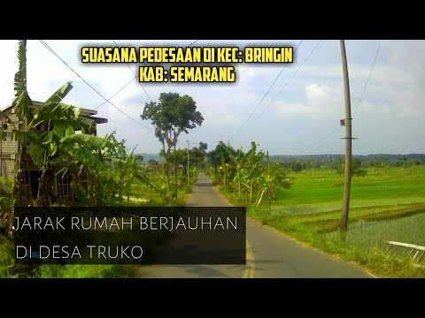 suasana desa truko, banding, kecamatan bringin kabupaten Semarang