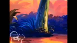 Timon & Pumbaa Find Toucan Dan By Capturing Him And Putting Him Back In His Cage