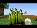 Minecraft: LAVA WARRIORS! Mini-Game w/Mitch & Friends!