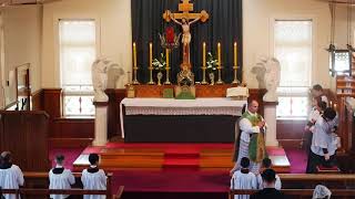 SSPXNZLIVE - Fourteenth Sunday after Pentecost Sung Mass - 6 September 2020