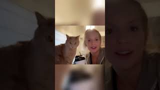 Cats Ability To Imitate