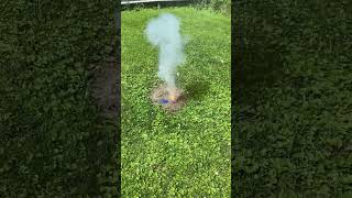 Bug Zapper By World Cl Fireworks