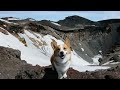 Top of Mt. Fuji / ??? ?? 20100717 Goro@Welsh corgi ???? ????