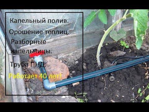 Капельный полив на даче своими руками Капельный полив на даче своими руками