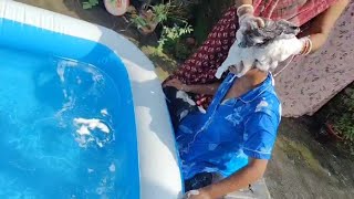 Underwater Dunking Long Hair Wash