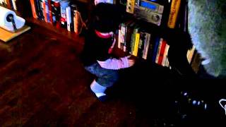 Dancing 2 Years Old With Japanese Child Song Dancing 2 Years Old With Japanese Child Song