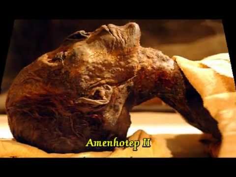Feron Mummy Pic EGYPT 274 - EGYPTIAN MUMMIES II - II المومياوات ...
