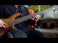 Adele - Rolling In The Deep (bass cover)[with TABS]