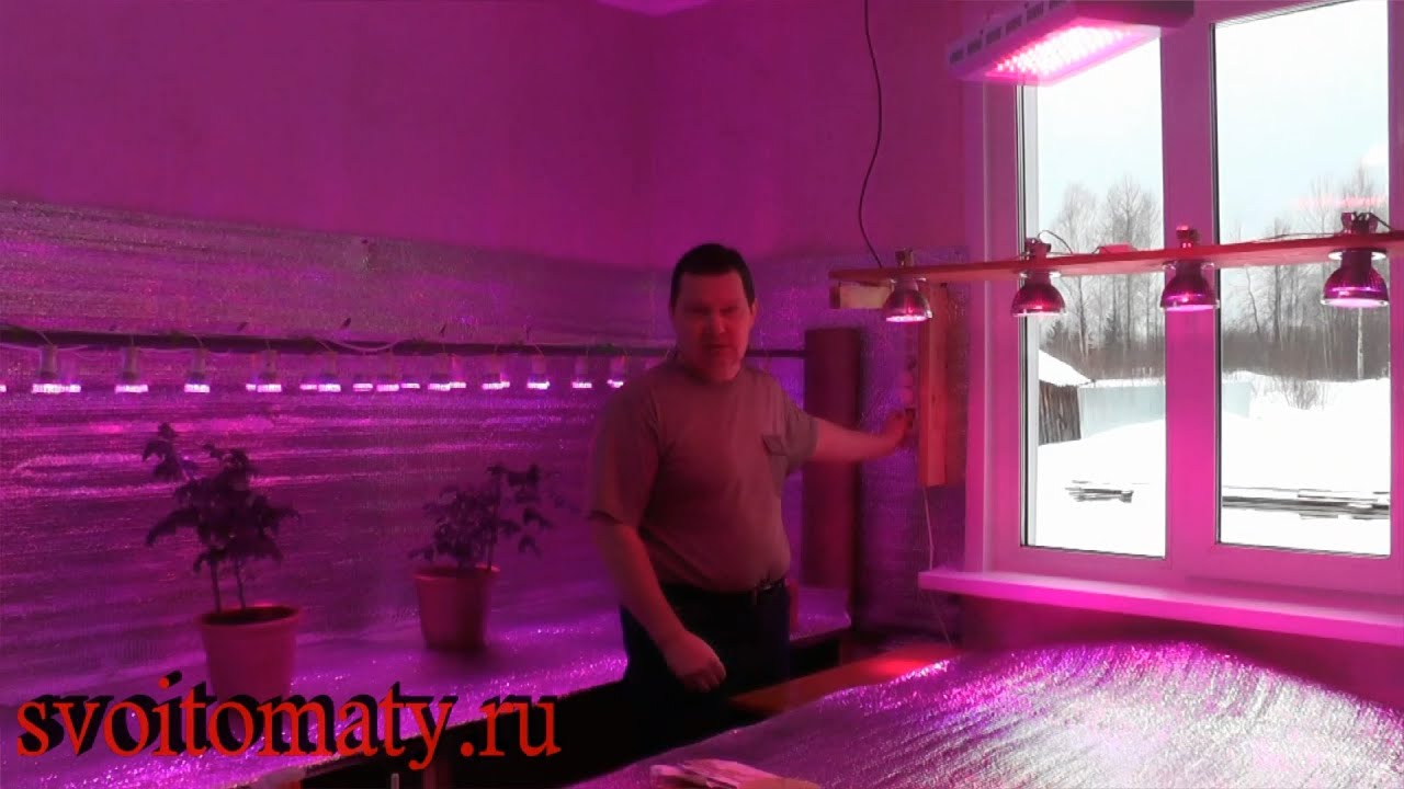 Светодиоды рассада своими руками Светодиоды рассада своими руками