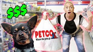 Buying My Dog EVERYTHING He Touches!