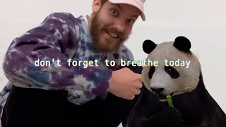 Watch San Holo Dont Forget To Breathe Today video