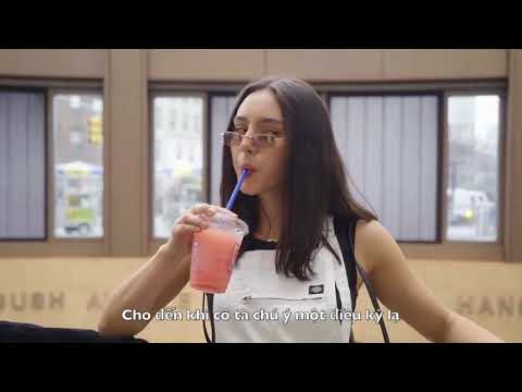 Hiệu ứng Domino - Tâm Lý Học Tội Phạm - Khoa Học Hành Vi