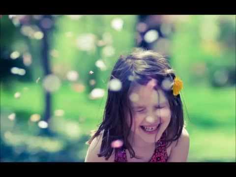 Lazy Day Video