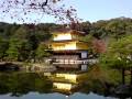 紅葉の季節の京都金閣寺