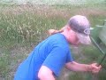 swathing