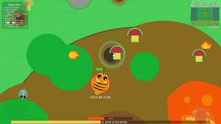 Lava Toucan Vs Pheonix Mope.io
