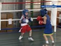 Видео Первенство симферопольской ДЮСШ по боксу