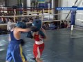 Video Первенство симферопольской ДЮСШ по боксу