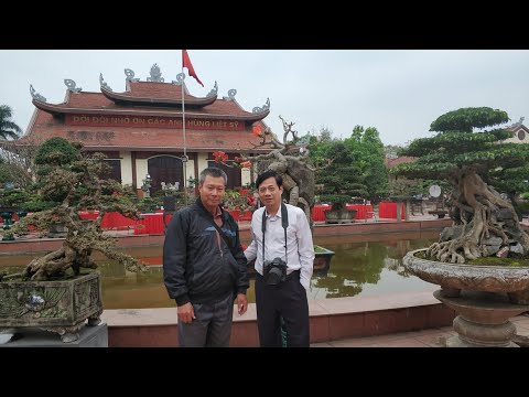 SH.2404.Hương sắc Đỗ Sinh với triển lãm Hoa Cây Cảnh Văn Giang.Hưng Yên hôm nay 15/3/2019
