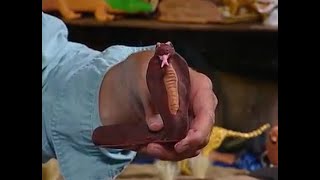 Creations In Clay Cobra - Clay Tutorial For Beginners