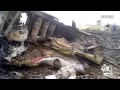Malaysia Air MH17 Crash: Video From the Wreckage