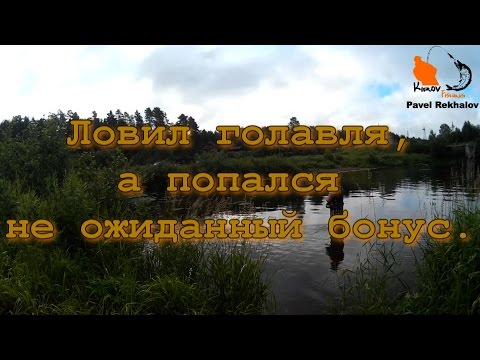 все для клева киров интернет все для клева киров интернет