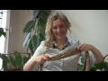 Пугало огородное своими руками : мастер класс для начинающих дачников Маки из бисера: схемы плетения и вышивки, фото и МК с видео уроками