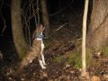Looney S 20 20 Mountain Curs 2009 2010 Hunting Season images Looney S 20 20 Mountain Curs 2009 2010 Hunting Season