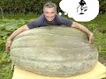 Tony Tammaro-O' Trerrote