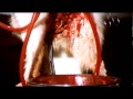 Lucio Fulci 1971 Una Lucertola Con La Pelle Di Donna