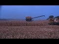 Geringhoff 24 row 20 inch corn head harvesting corn