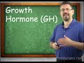 lutenizing hormone
