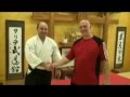 Festival of Martial Arts: Aikido and Systema Spetsnaz