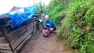 Anitas Mother In Law Sold Piglet To Village Brother Village Life