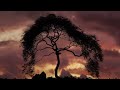 Sleep Music 2 Hour: Deep Sleep, Music to Help You Sleep, Inner Peace ☯117