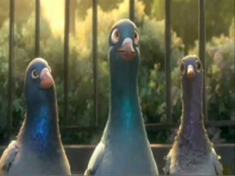 Bolt Pigeons