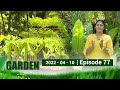 My Garden 10-04-2022