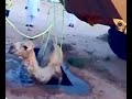 Cewek Arab Mandi Bugil images Cewek Arab Mandi Bugil