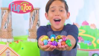 Flipazoo Collectables
