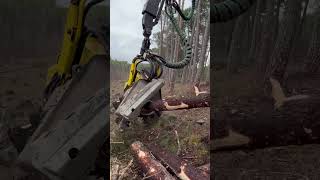 John Deere 1270G H425 Harvester Cutting Tree In The Forest #Johndeere #Harvester #Viral #Farming