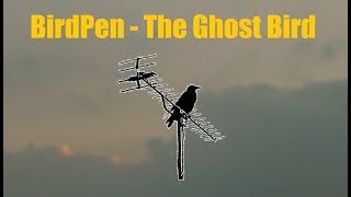 Watch Birdpen The Ghost Bird video