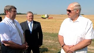 Лукашенко о прозрачности формирования цены при закупках продукции для нужд сельского хозяйства