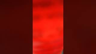 AH0GIh7W_fw Video Image