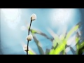 28.04.2016 Благословение земли (Иезекииль 47:13–23) 28.04.2016 Благословение земли (Иезекииль 47:13–23)