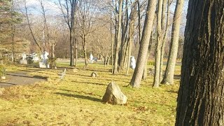 Interdimensional Intelligence On Harmonic Energy Grid, Ny