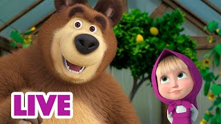 🔴 Live Stream 🎬 Masha And The Bear 🐾 Helping Paw 🤝 New Episode 2023 ➡️ Coming On November 17!