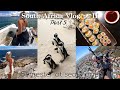 Shark diving, paragliding, and more in Cape Town! || South Africa Vlog Part Two ❥