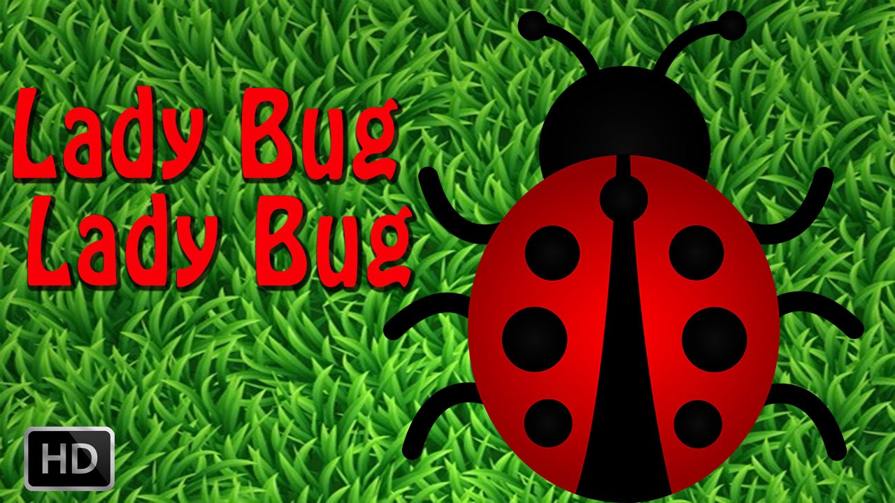 Nursery Rhymes Lady Bug, Lady Bug With Lyrics YouTube