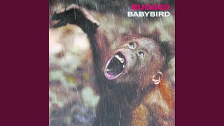 Watch Babybird Eyes In The Back Of Your Head video