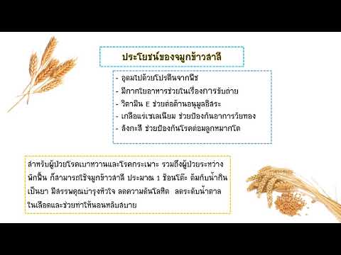 จมูกข้าว